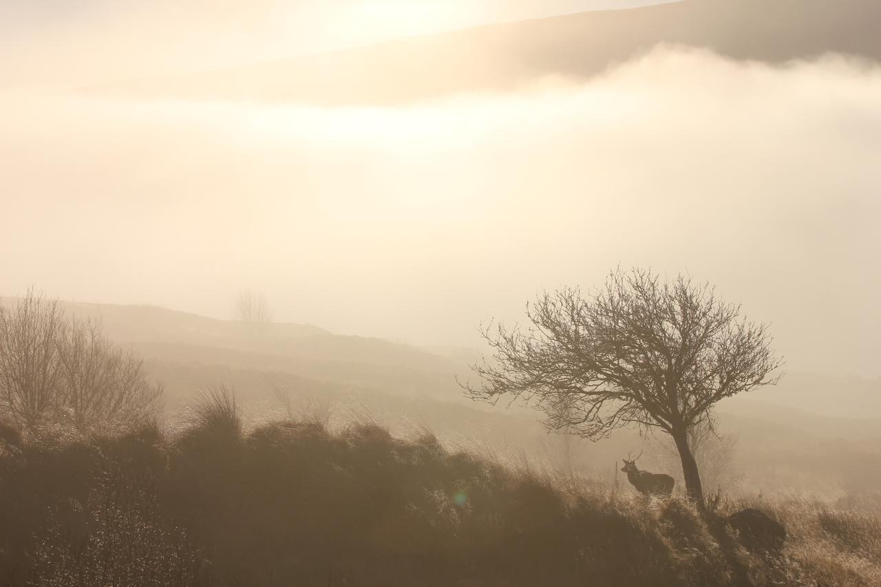 Oak Lodge Bed And Breakfast Overscaig Esterno foto