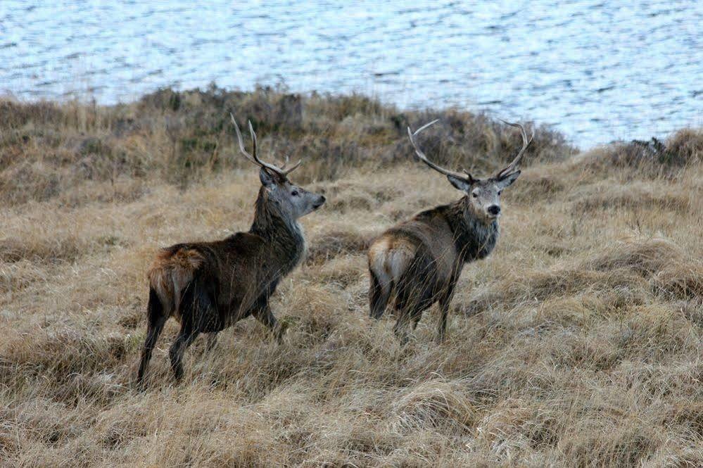 Oak Lodge Bed And Breakfast Overscaig Esterno foto