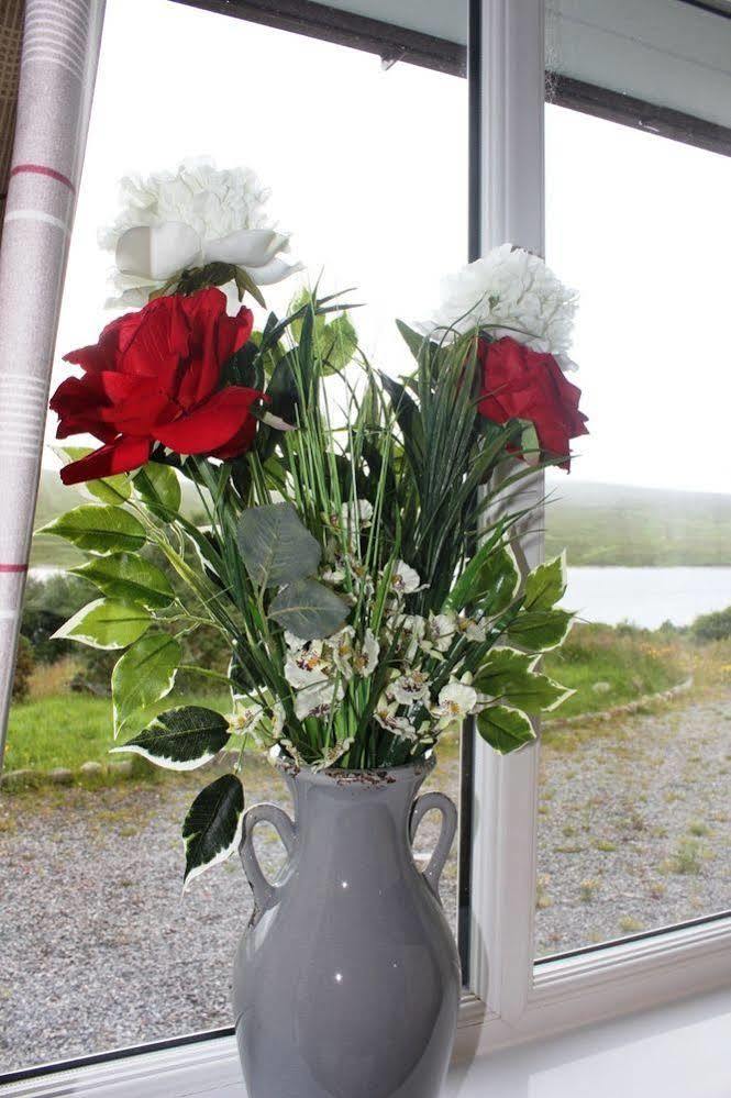 Oak Lodge Bed And Breakfast Overscaig Esterno foto